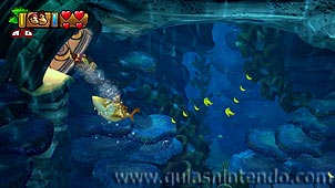Donkey Kong Country: Tropical Freeze