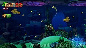 Donkey Kong Country: Tropical Freeze