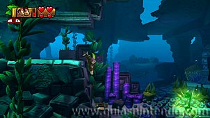 Donkey Kong Country: Tropical Freeze