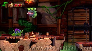 Donkey Kong Country: Tropical Freeze