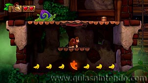 Donkey Kong Country: Tropical Freeze