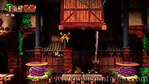 Donkey Kong Country: Tropical Freeze