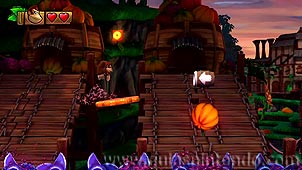 Donkey Kong Country: Tropical Freeze