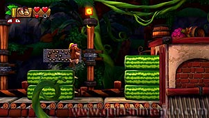 Donkey Kong Country: Tropical Freeze