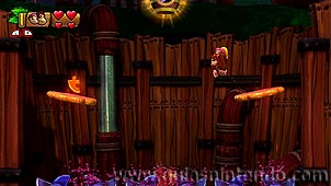 Donkey Kong Country: Tropical Freeze