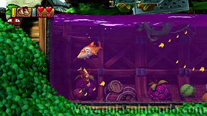 Donkey Kong Country: Tropical Freeze