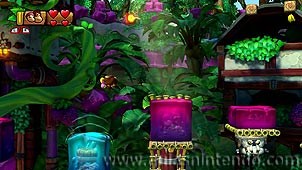 Donkey Kong Country: Tropical Freeze