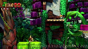 Donkey Kong Country: Tropical Freeze