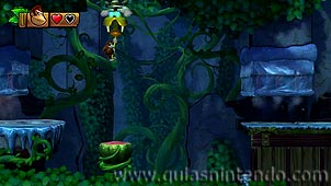 Donkey Kong Country: Tropical Freeze