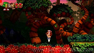 Donkey Kong Country: Tropical Freeze
