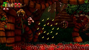Donkey Kong Country: Tropical Freeze