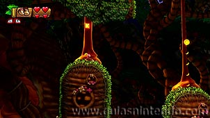 Donkey Kong Country: Tropical Freeze