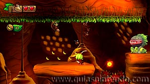 Donkey Kong Country: Tropical Freeze