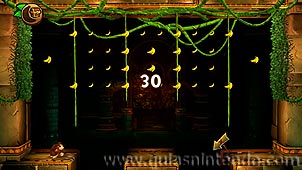 Donkey Kong Country: Tropical Freeze