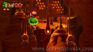 Donkey Kong Country: Tropical Freeze