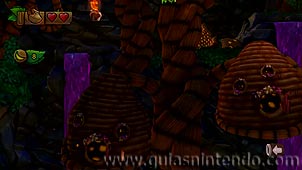 Donkey Kong Country: Tropical Freeze