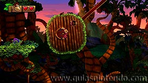 Donkey Kong Country: Tropical Freeze