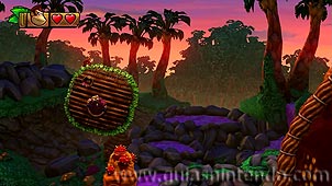 Donkey Kong Country: Tropical Freeze