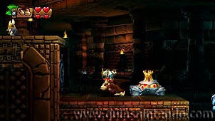 Donkey Kong Country: Tropical Freeze