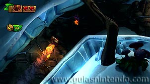 Donkey Kong Country: Tropical Freeze