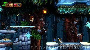 Donkey Kong Country: Tropical Freeze