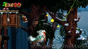 Donkey Kong Country: Tropical Freeze