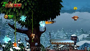 Donkey Kong Country: Tropical Freeze