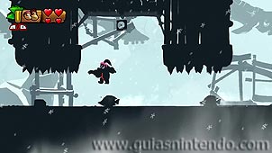 Donkey Kong Country: Tropical Freeze