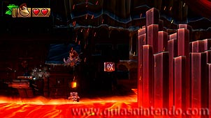 Donkey Kong Country: Tropical Freeze