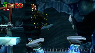 Donkey Kong Country: Tropical Freeze