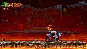 Donkey Kong Country: Tropical Freeze