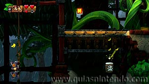 Donkey Kong Country: Tropical Freeze
