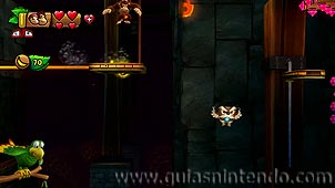 Donkey Kong Country: Tropical Freeze