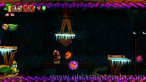 Donkey Kong Country: Tropical Freeze