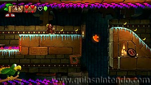 Donkey Kong Country: Tropical Freeze