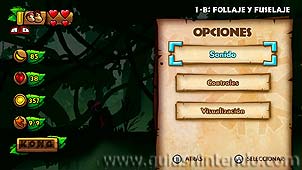 Donkey Kong Country: Tropical Freeze