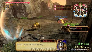 Hyrule Warriors