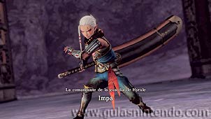 Hyrule Warriors