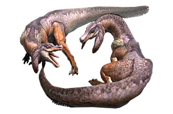 Monster Hunter 3 Ultimate