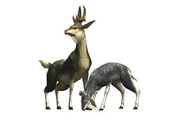 Monster Hunter 3 Ultimate