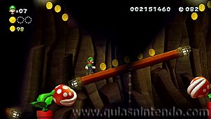 New Super Luigi U