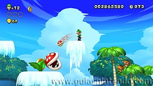 New Super Luigi U