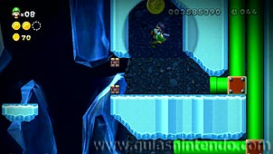 New Super Luigi U