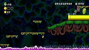New Super Luigi U