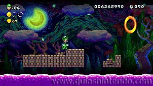 New Super Luigi U