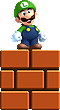 New Super Luigi U