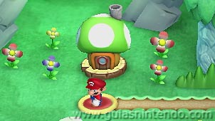 New Super Mario Bros. U