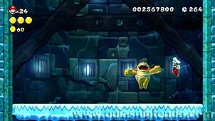 New Super Mario Bros. U