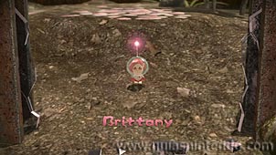Pikmin 3