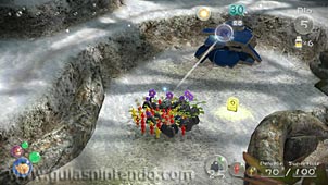 Pikmin 3
